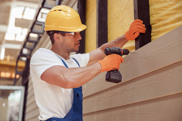 Affordable Siding Repair and Maintenance Services in Chinle, AZ